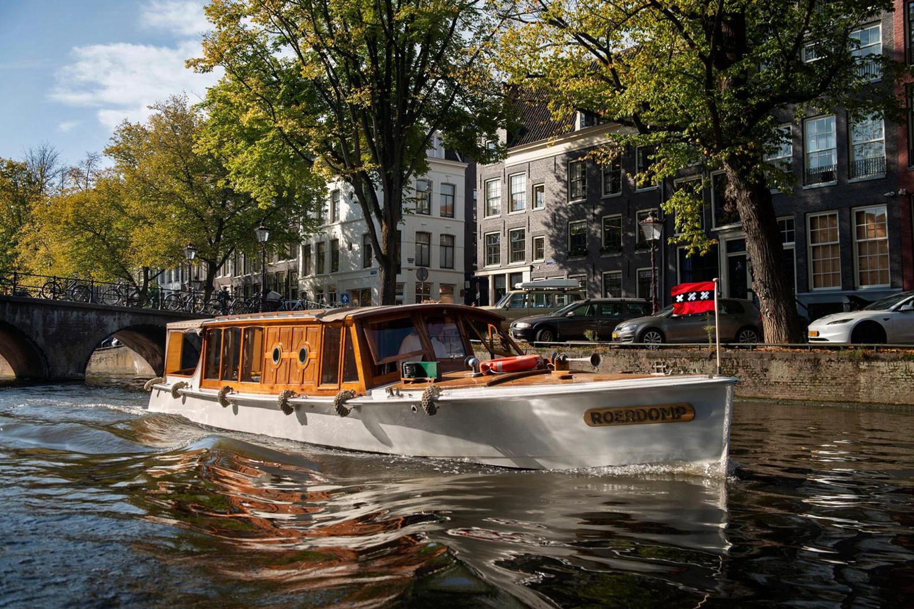 Roerdomp, beeld 3 van het schip